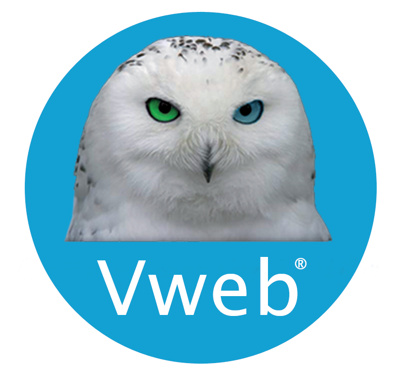 vweb website en webshops op maat